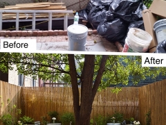 Before-after-arlington-pl
