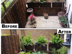 Before-after-sonia-terrace