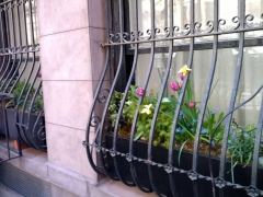 Windowbox-In-grill