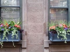 Windowbox-summer-55-e-76