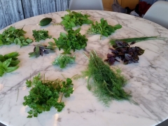 Beverly Harvest