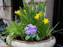 Container-entrance-spring