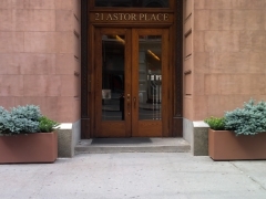 EntrancesSidewalkTreeBeds4