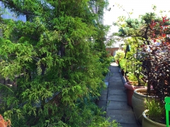 TerracesRooftops48 TerracesRooftops48
