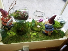 Indoor-window-display-epices