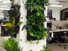 Office-Installation-3