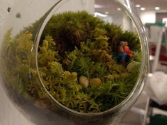 Office-Installation-6