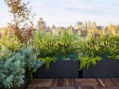 Screen-Shot-2017-03-06-at-8.15.23-PM