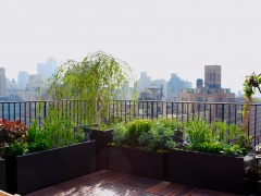 Terraces & Rooftops 4- good