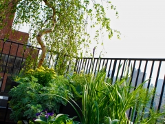 TerracesRooftops07