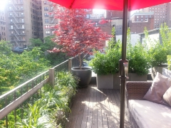 TerracesRooftops21