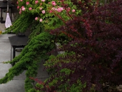 TerracesRooftops34