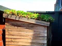 TerracesRooftops45