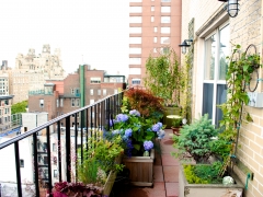 TerracesRooftops70