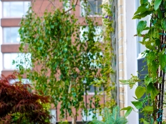 TerracesRooftops71