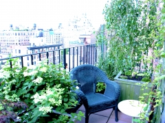 TerracesRooftops72
