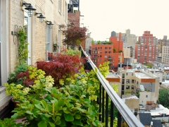 TerracesRooftops74 (1)