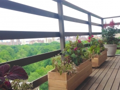 TerracesRooftops80B