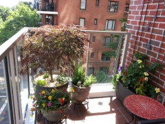 TerracesRooftops91