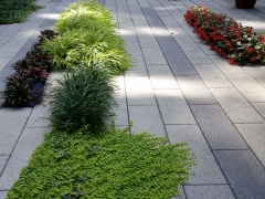 Courtyard-henderson-ground