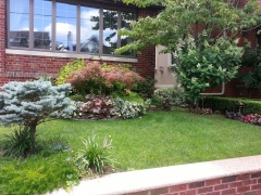 Frontyard-Terry2