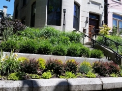 Frontyard-hoboken