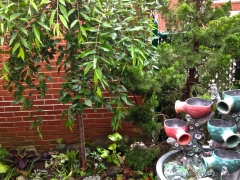 YardsPatios34